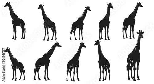 Collection of Silhouette Giraffes Standing in Various Poses and Orientations