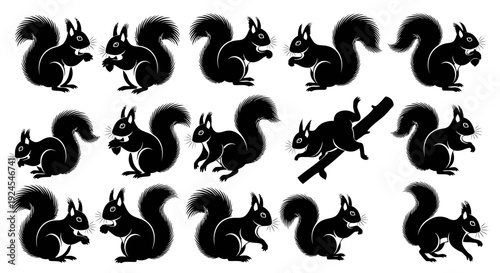 Collection of black silhouettes of squirrels in various poses and actions on a clean background, viewed from different angles