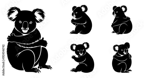 Koala illustrations in various poses and viewpoints, showcasing their unique features and adorable expressions in a minimalist style