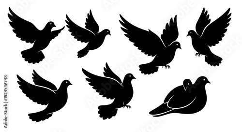 Collection of silhouetted birds in various flight poses and resting on a plain white background, viewed from different angles and perspectives