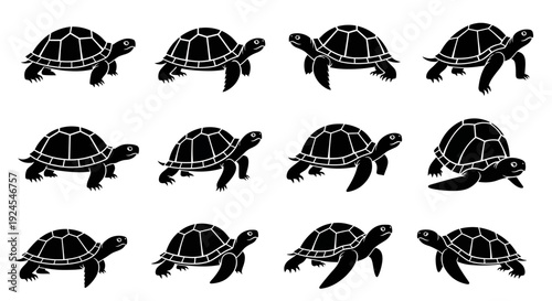 Multiple turtles moving in different directions on a clean background, viewed from above, showcasing various poses and actions.