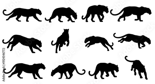 Collection of dynamic big cat silhouettes in various walking poses, showcasing feline agility and movement in a minimalist design
