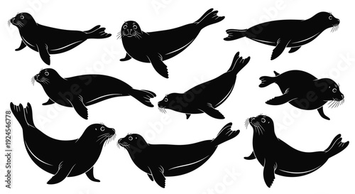 Collection of silhouetted seals in various poses and orientations on a clean background