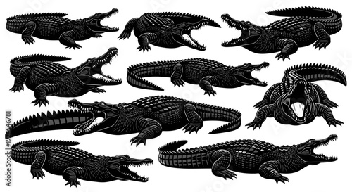 Collection of various crocodile silhouettes showcasing different poses and species in a detailed illustration