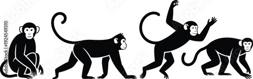 Monkey silhouettes set showing different poses and movements, black vector wildlife illustration collection, primate animals design, minimalist jungle animal clipart isolated on white