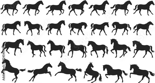 Horse silhouettes set featuring running, walking, trotting and jumping poses isolated on white background for equestrian logo design, motion study, illustration, branding use