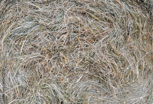 Large, circular hay bale tightly packed with dry, golden-brown straw. Its textured, swirled center creates a rustic, agricultural pattern across the frame