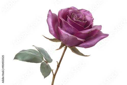 Purple rose with green leaves isolated PNG with Transparent Background