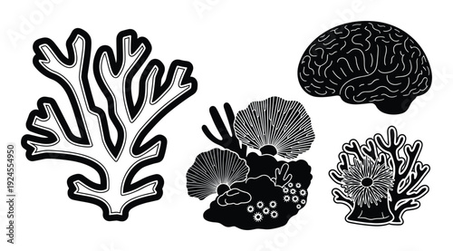 Brain coral vector with sea anemone, coral reef, algae drawing in black and white, marine life, underwater plants
