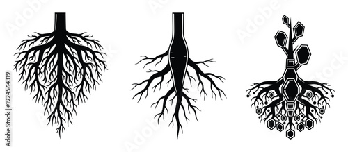 Three abstract root systems in black and white, resembling plants, nature, and fractal structures