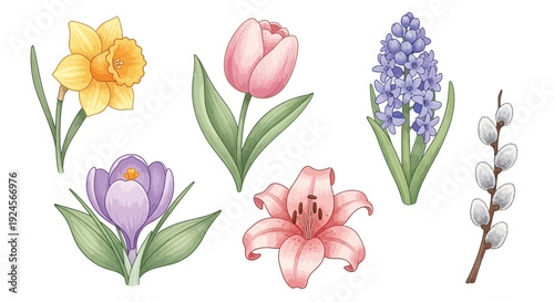 A collection of beautiful spring flowers including daffodils, tulips, hyacinths, crocuses, lilies, and pussy willows, rendered in a watercolor style.