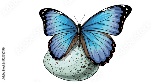 Beautiful Blue Butterfly Perched on a Speckled Egg