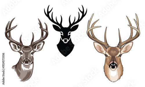 deer vector illustration