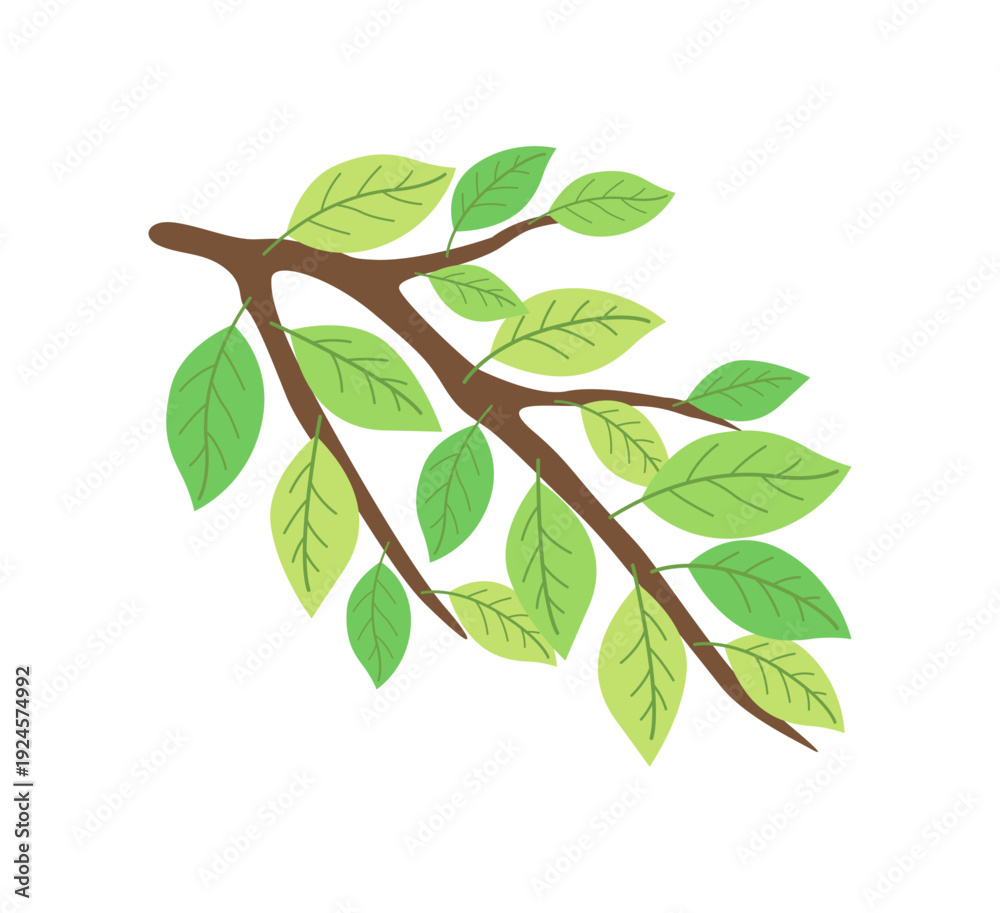 Obraz premium 小枝と若葉のイラスト|ナチュラル植物ベクター素材