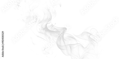 Cuadro en lienzo Ethereal smoke wisps dance in darkness abstract vapor trails moody atmospheric a