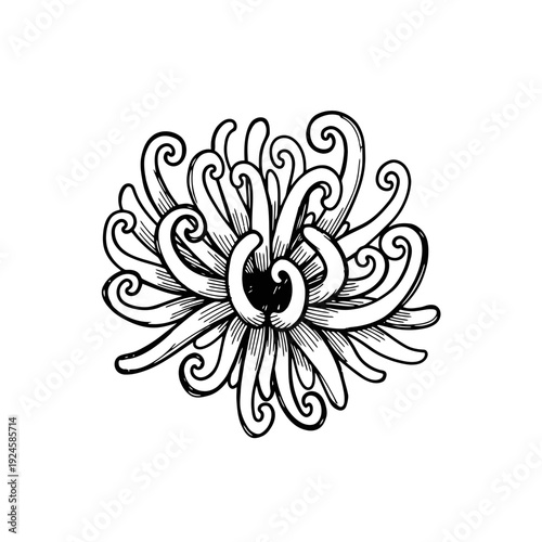Black and White Floral Design Element.