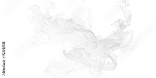 Cuadro en lienzo Ethereal smoke tendrils dance in darkness abstract art swirling mist atmospheric