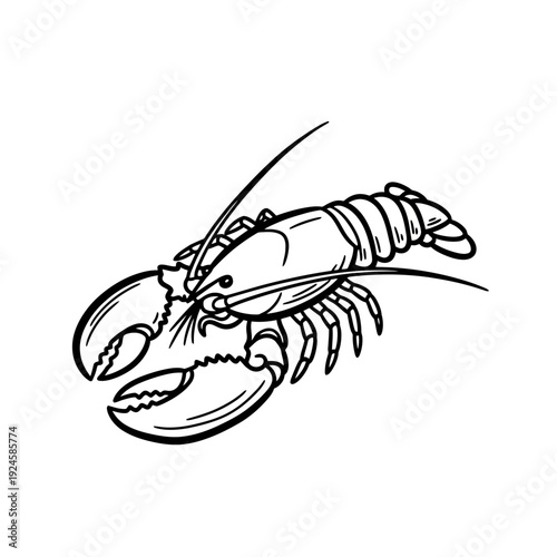 Lobster Claw Crustacean Shellfish Seafood.