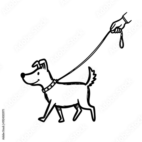 Dog Walking on Leash Hand Drawn.