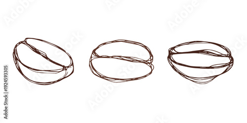 Set of hand drawn fresh roasted coffee bean Arabica robusta seed doodle Single element for design print packaging label decor
