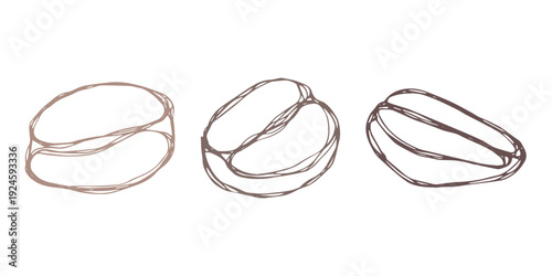 Set of hand drawn fresh roasted coffee bean Arabica robusta seed doodle Single element for design print packaging label decor