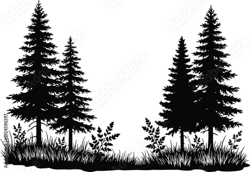 Black pine tree forest silhouette with grass and shrubs isolated on white background, detailed evergreen woodland landscape illustration for nature design and outdoor branding