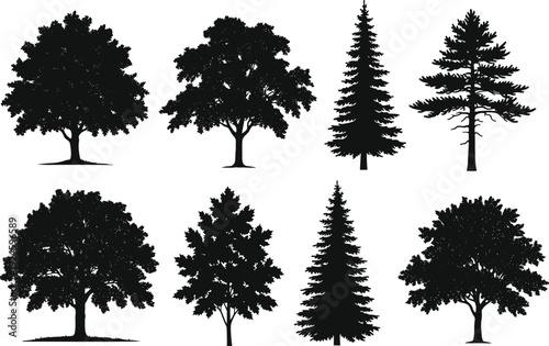Collection of black tree silhouettes including oak and pine varieties isolated on white background, detailed forest tree set for landscape design and nature illustration.