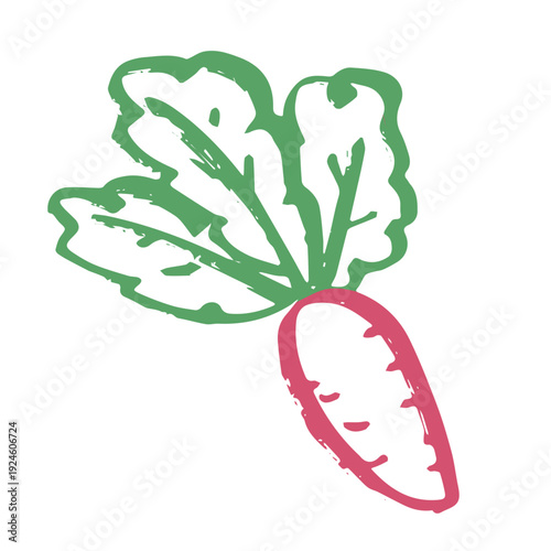 Hand drawn farm radish beet beetroot plant with green leaves Fresh vegetable doodle Healthy eco food Organic garden vegetarian food For design, print, packaging, decor, kids books