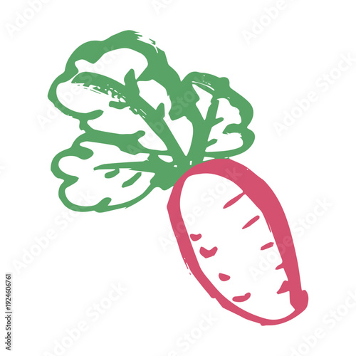 Hand drawn farm radish beet beetroot plant with green leaves Fresh vegetable doodle Healthy eco food Organic garden vegetarian food For design, print, packaging, decor, kids books