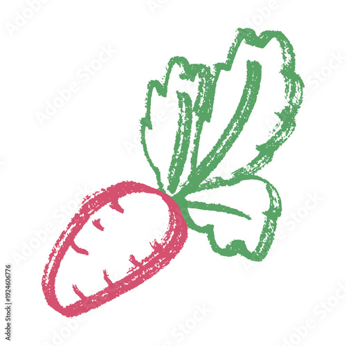 Hand drawn farm radish beet beetroot plant with green leaves Fresh vegetable doodle Healthy eco food Organic garden vegetarian food For design, print, packaging, decor, kids books