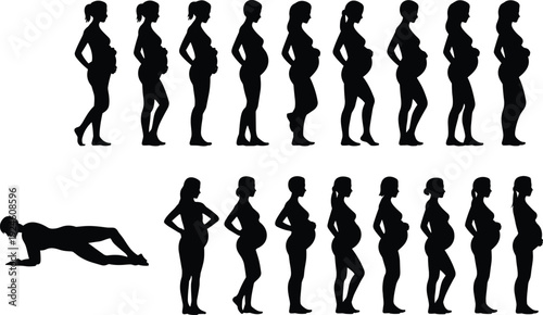 Large black silhouette collection of pregnancy stages showing woman body changes during trimesters including prenatal exercise and maternity health isolated on a white background