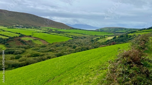 Green fields in Ireland