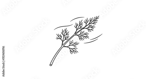 Dill Herb Branch Illustration, Fresh Green Spice, Culinary Ingredient, Isolated Vector Line Art
