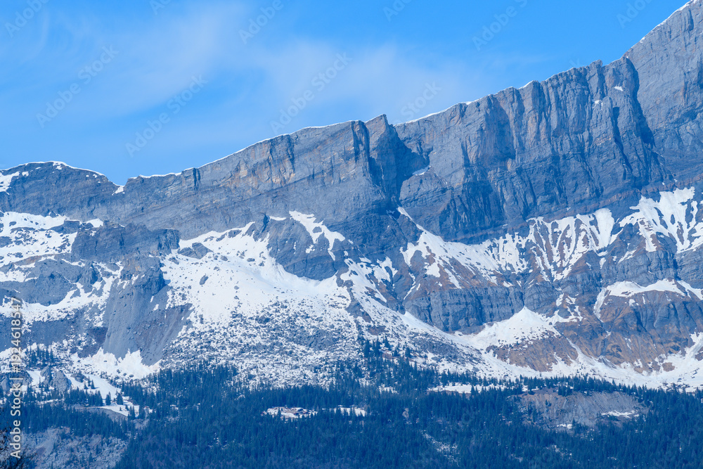 Obraz premium Massive limestone escarpment of Tete a l'Ane rises above snowy alpine slopes and dark conifer forest, with crisp spring light under a clear blue sky.