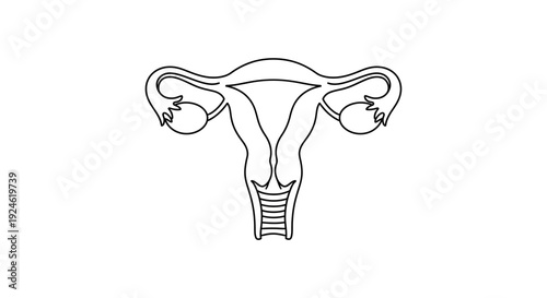 Uterus and Fallopian Tubes Line Art Icon - Female Reproductive System Anatomy