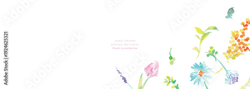 水彩画。水彩タッチのベクター春植物イラスト。春の花と植物のベクターフレームセット。Watercolor painting. Vector spring botanical illustration with watercolor touch. Vector frame set of spring flowers and plants.