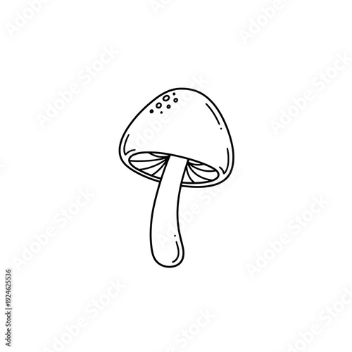 Mushroom illustration on white background