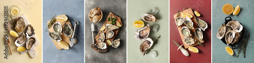 Set of fresh oysters on grunge background, top view
