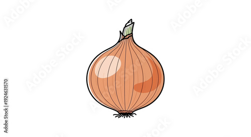 Fresh Yellow Onion Bulb with Green Sprout, Isolated on White Background