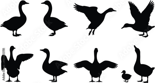 Goose silhouettes collection with standing walking flying and wings spread poses black vector illustration set isolated