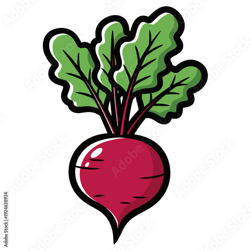 Beetroot with leaves vector illustration in playful modern cartoon style