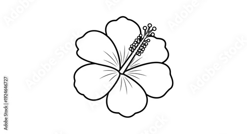 Simple Outline Drawing of a Blooming Hibiscus Flower with Stamens and Petals