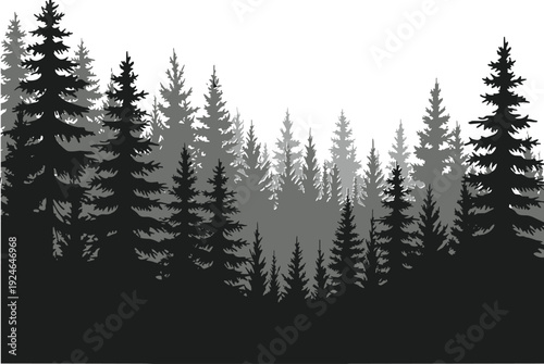 Layered forest silhouette illustration, conifer tree vector artwork, pine fir woodland design, nature landscape graphic, grayscale depth symbol