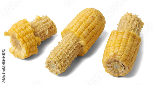 Obraz na płótnie three partially eaten corn cobs isolated on a transparent background, highlighting the texture of the kernels and the exposed cob
