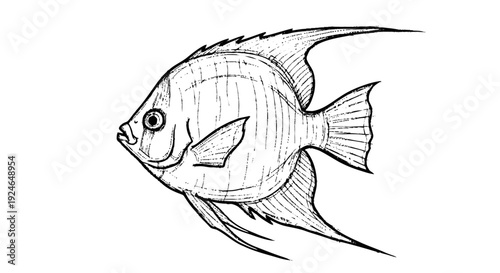 Detailed Line Drawing of Fish Swimming.