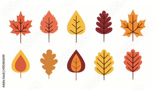 Minimalist Autumn Leaves Vector Set in Warm Fall Colors for Seasonal Design Projects