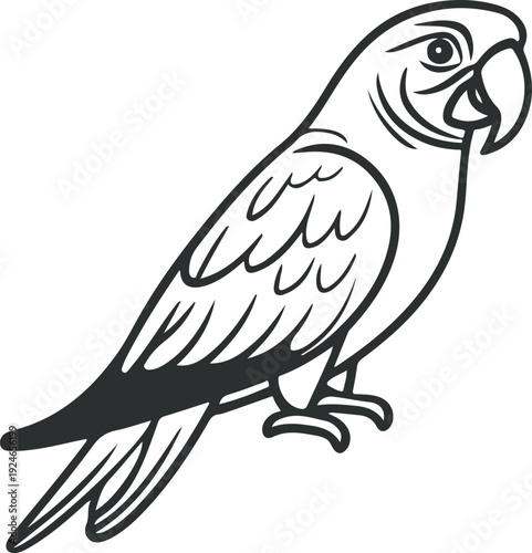 Simple Line Drawing Of A Parrot Pro Vector design