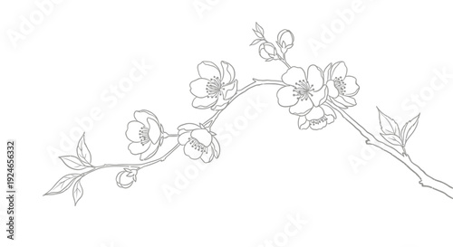 Delicate Cherry Blossom Branch Sketch, Elegant Floral Line Art, Spring Awakening