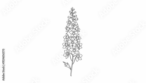 Delphinium Flower Sketch, Elegant Line Art Botanical Illustration, Floral Vector Drawing