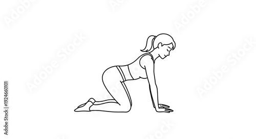 Woman doing yoga cat cow pose on floor, line art, fitness exercise, healthy lifestyle